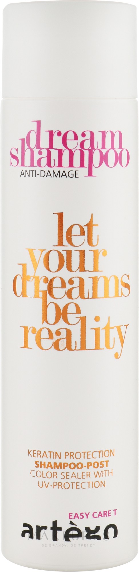 ARTEGO DREAM REPAIR CHAMPU  POST 250ML